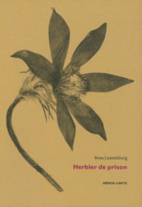 Image de Herbier de prison