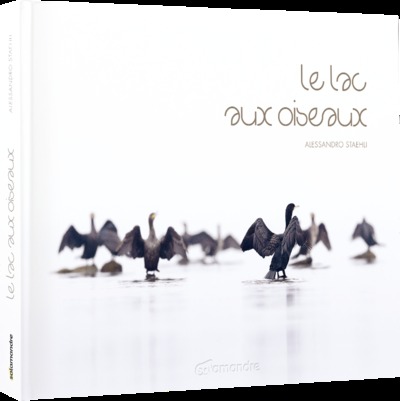 Image de Le lac aux oiseaux