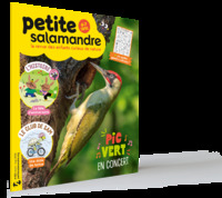 Picture of Petite salamandre n°65