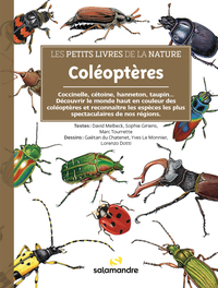 Image de Les petits livres de la nature - Coléoptères