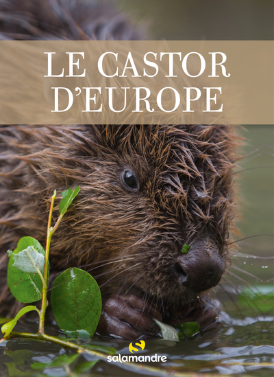 Picture of Le castor d'Europe