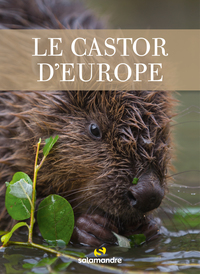 Picture of Le castor d'Europe