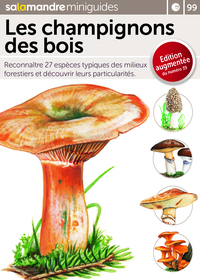 Picture of Mini-guide gratuit : Les champignons des bois