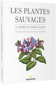 Image de Les plantes sauvages