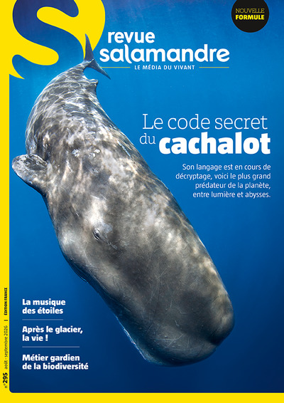 Picture of Revue La Salamandre n°295
