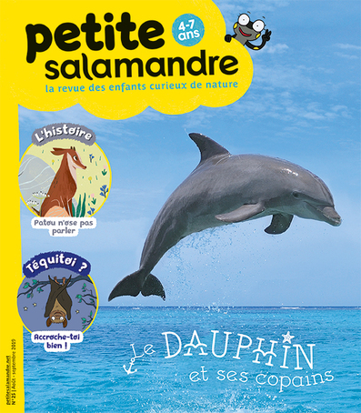 Picture of N°25 La petite salamandre
