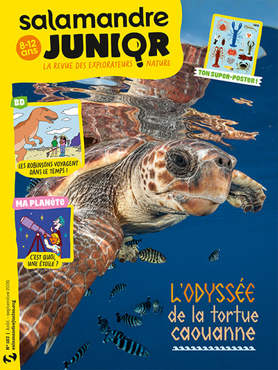 Picture of Revue Salamandre Junior n°167