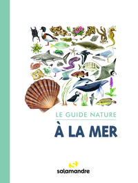 Image de Le guide nature à la mer