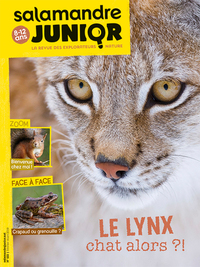 Picture of N°122 La salamandre junior