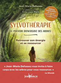 Image de Sylvothérapie : Le pouvoir bienfaisant des arbres