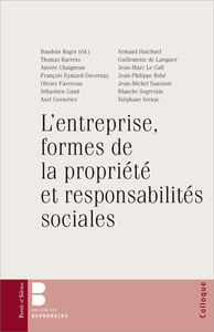 Picture of L'entreprise, formes de la propriété et responsabilité