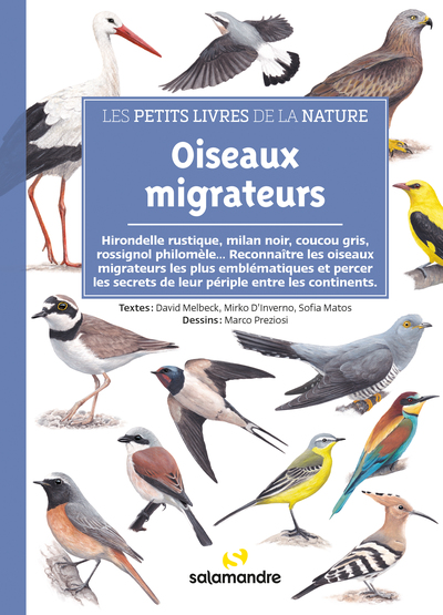 Picture of Oiseaux migrateurs