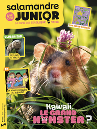 Picture of Salamandre junior n°165