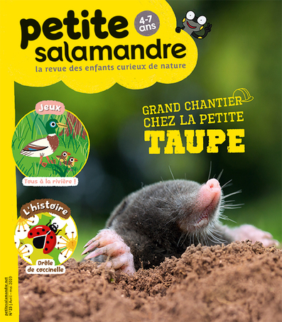 Picture of N°23 La petite salamandre