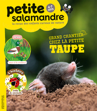 Picture of N°23 La petite salamandre
