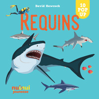 Image de Saisissants pop-up - Requins