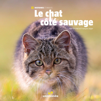 Picture of Le chat côté sauvage