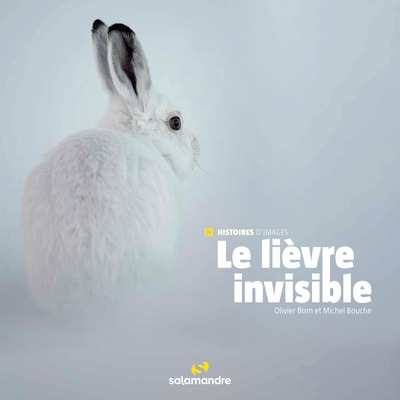 Picture of Le lièvre invisible