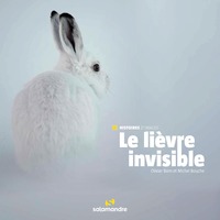 Picture of Le lièvre invisible