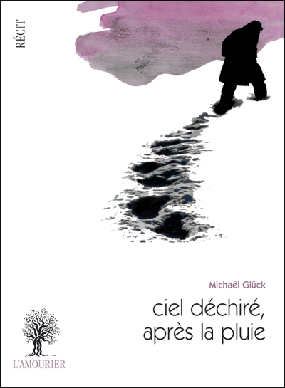 Picture of CIEL DECHIRE, APRES LA PLUIE