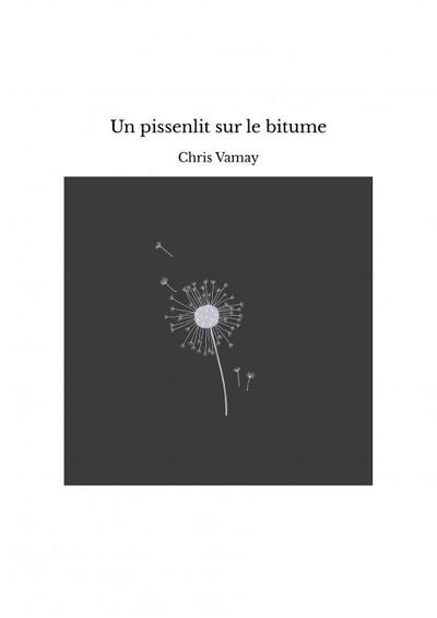 Image de Un pissenlit sur le bitume