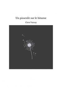 Image de Un pissenlit sur le bitume