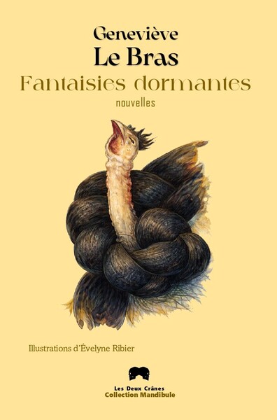 Picture of Fantaisies dormantes