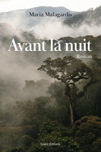 Image de Avant la nuit