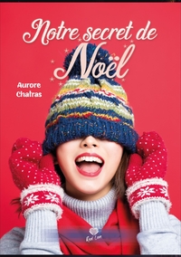 Image de Notre secret de noël