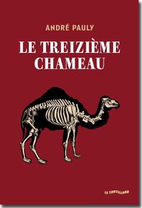 Image de Le Treizième chameau