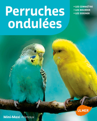 Image de Perruches ondulées