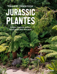 Image de Jurassic Plantes - Ginkgos, magnolias, prêles... l'esprit jungle dans votre jardin