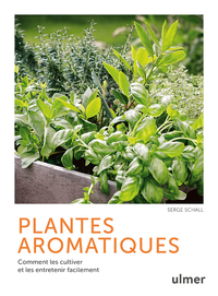 Image de Plantes aromatiques - Comment les cultiver et les entretenir facilement