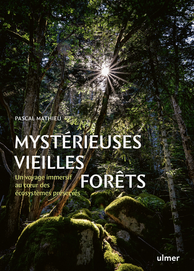 Image de Mystérieuses vieilles forêts - Un voyage immersif au coeur des écosystèmes préservés