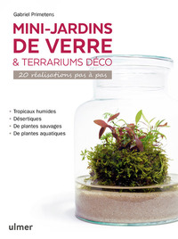 Image de Mini-jardins de verre & terrariums déco - 20 réalisations pas à pas
