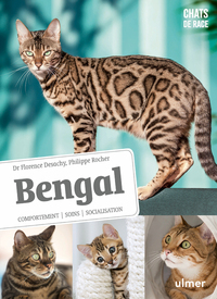 Image de Bengal - Comportement, soins, sociabilisation