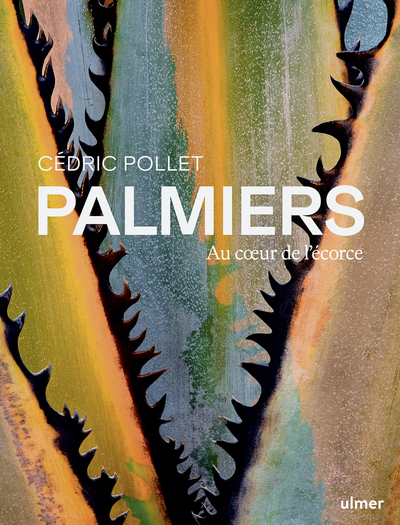 Image de Palmiers - Au coeur de l'écorce