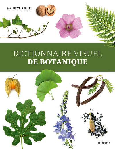 Image de Dictionnaire visuel de botanique