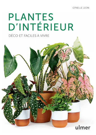 Image de Plantes d'intérieur - Déco et faciles à vivre