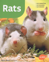 Image de Rats