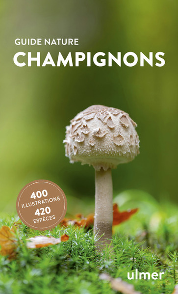 Image de Champignons
