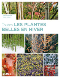 Image de Toutes les plantes belles en hiver