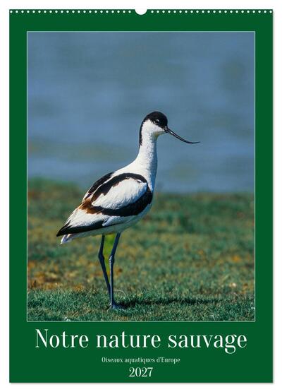 Image de Notre nature sauvage, oiseaux aquatiques d'Europe (Calendrier mural 2027 DIN A2 horizontal), CALVENDO calendrier mensuel