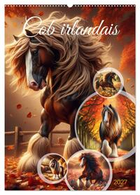 Picture of Cob irlandais (Calendrier mural 2027 DIN A2 horizontal), CALVENDO calendrier mensuel