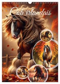 Picture of Cob irlandais (Calendrier mural 2027 DIN A3 horizontal), CALVENDO calendrier mensuel