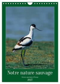 Image de Notre nature sauvage, oiseaux aquatiques d'Europe (Calendrier mural 2027 DIN A4 horizontal), CALVENDO calendrier mensuel