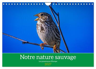 Picture of Notre nature sauvage, les passereaux d'Europe (Calendrier mural 2027 DIN A4 vertical), CALVENDO calendrier mensuel