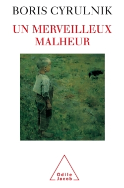Image de Un merveilleux malheur