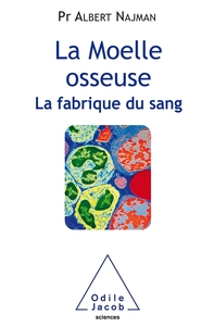 Picture of La Moelle osseuse, la fabrique du sang