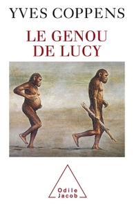 Picture of Le Genou de Lucy